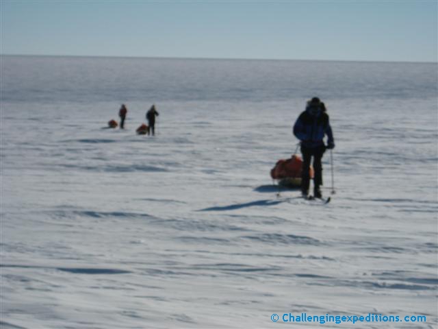 antarctica 2008